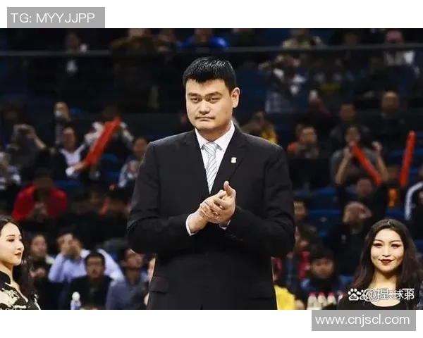 姚明在篮球领域的综合能力评价与影响力分析